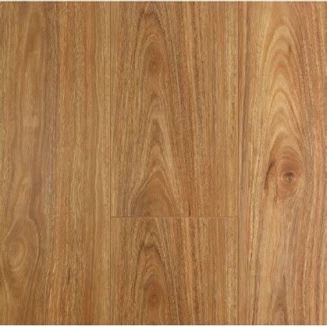 Oakleaf Spotted Gum Timber Look Flooring Back To Timber