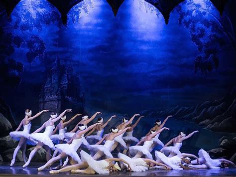 Mira El Ballet Del Lago De Los Cisnes Con El Ballet De Rusia