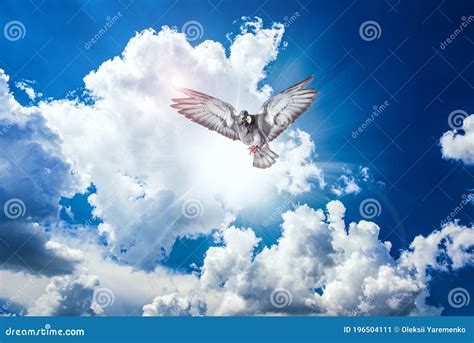 Holy Spirit Dove Stock Image | CartoonDealer.com #196504111