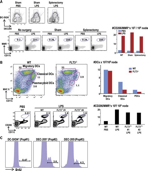 Microbial Stimulation Fully Differentiates Monocytes To Dc Sign Cd