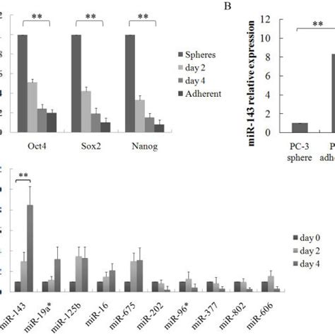 Mir Expression Was Progressively Increased During Pc Spheres