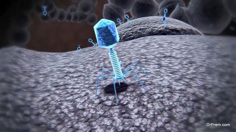 Guide to Phage Therapy – Concept, History, Application and Future Potential | Wellness Tourism ...