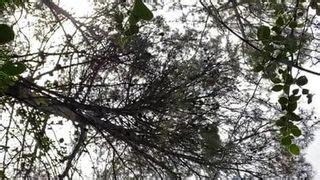 Anon Poz Load Free Gay Bareback Cum Hd Porn Video Xhamster