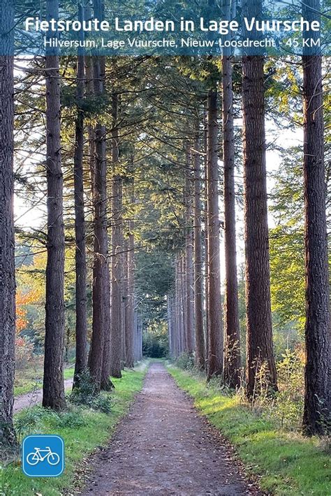 Wat Te Doen In Amerongen Op De Utrechtse Heuvelrug Artofit