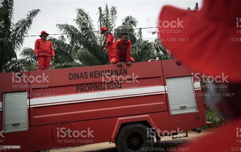 Peatland Fires In Riau Indonesia Stock Photo - Download Image Now ...