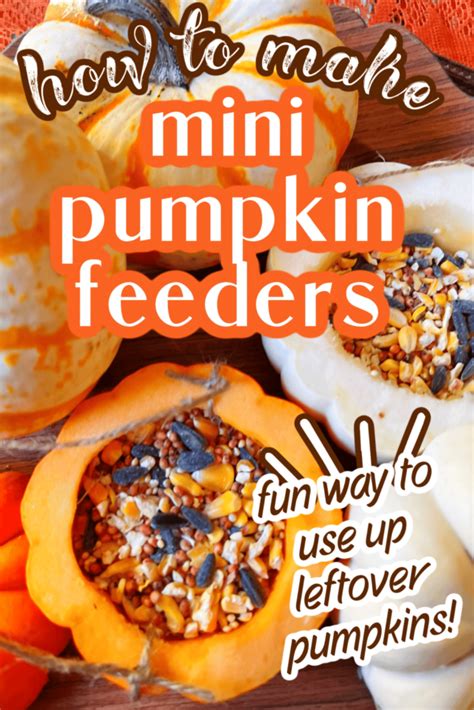 Easy Pumpkin Bird Feeder Craft