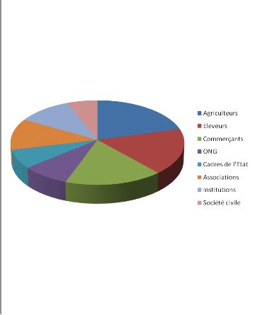 Memoire Online Vuln Rabilit Et Adaptation Des Activites