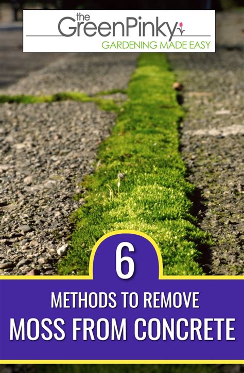 How To Remove Moss From Concrete Ways To Remove It