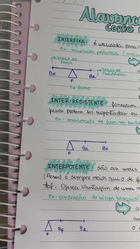 Alavancas Do Corpo Humano Cinesiologia E Biomec Nica Corpo Humano