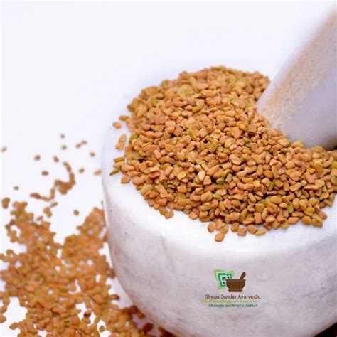 Fenugreek Seeds Methi Dana At Rs 90kg Herbal Seed In Hyderabad Id