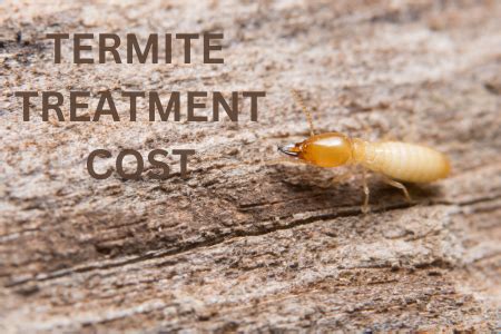 Termite Treatment Cost Vista | Hume Termite