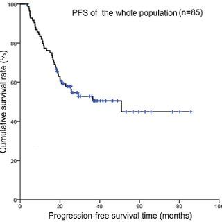 Kaplan Meier Survival Curves Showing Progression Free Survival Of The