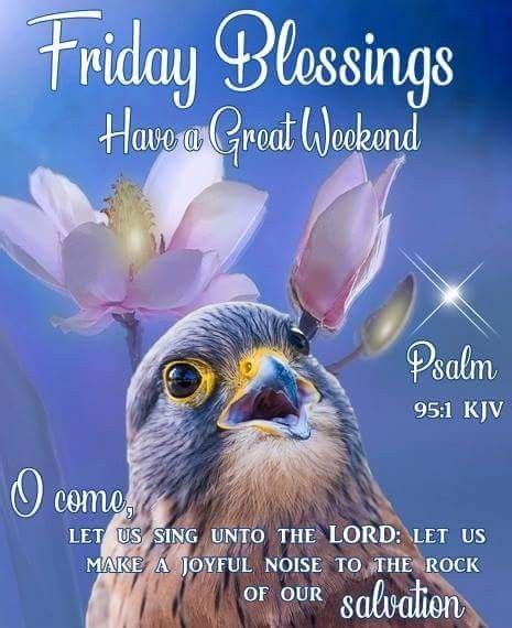 Bird Friday Blessings Have A Great Weekend Pictures Photos And