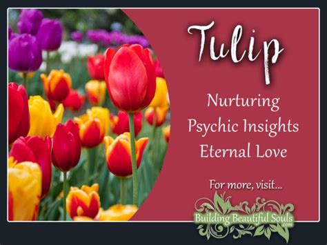 Tulip Meaning & Symbolism | Flower Meanings & Symbolism