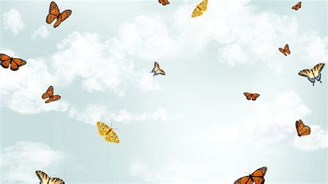 Beautiful butterfly sky desktop wallpaper | Premium Photo - rawpixel