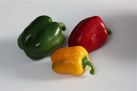 bell pepper wikipedia