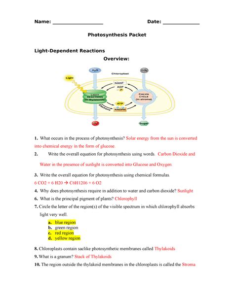 Photosynthesis Worksheet Version 2 Short 2018 Key Name Date