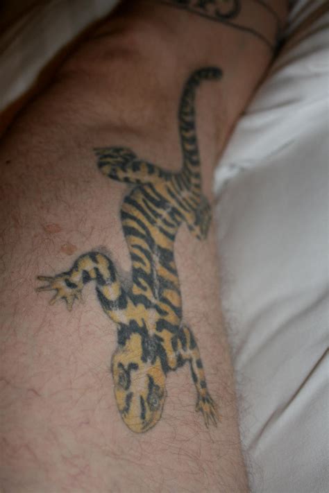 Salamander tattoo by jpreiss on DeviantArt