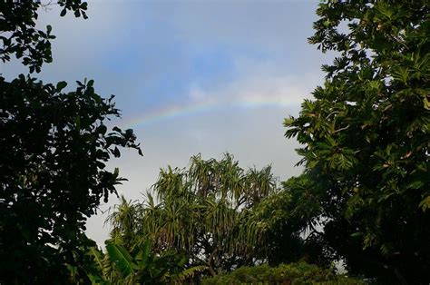 Maui Nui Botanical Gardens | To-Hawaii.com