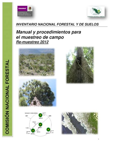 PDF Re Muestreo 2012 SNIEG 6 El Sistema De Muestreo Aplicado Para