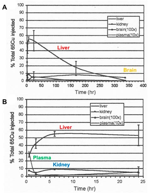 Ijms Free Full Text Copper Homeostasis In Mammals With Emphasis On