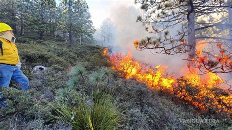 Incendio Forestal En Galeana Nl Consume Hect Reas De Matorral