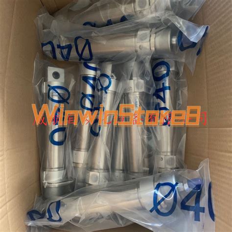 Pcs Festo Cylinder Dsw Ppv B Brand New Ebay