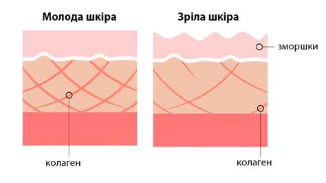 Який колаген обрати: види та форми колагенових добавок