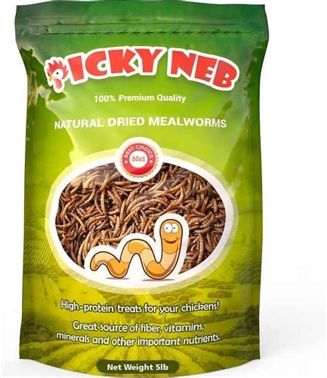 Picky Neb Non Gmo Dried Mealworms Lb Whole Large Meal Worms