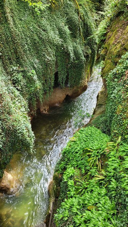 Balade Nature Et Cascade Aux Gorges Du Sierroz HappyCurio