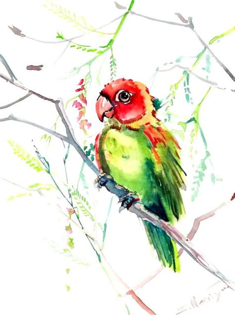 Green Red Parrot Original Watercolor Painting 12 X 9 In Etsy