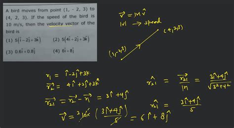 A Bird Moves From Point To If The Speed Of The Bird Is
