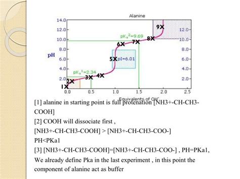 Ppt Experiment Titration Curve Of Amino Acid Powerpoint Hot Sex Picture