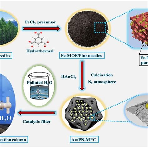 Biomass Derived Au NP Functionalized N O Doped Magnetic Porous Carbon