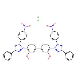 Nitro Blue Tetrazolium Chloride Nbt Ultra Pure Grade Prefix Cas No