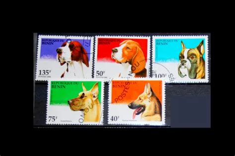 LOT SÉRIE 5 timbres stamps chien berger boxer Bénin 1995 TBE ideal