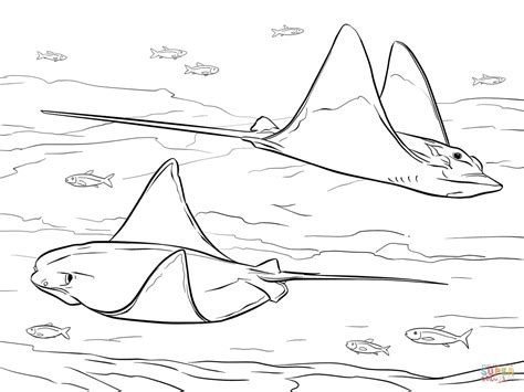 Stingray Coloring Page Coloring Home