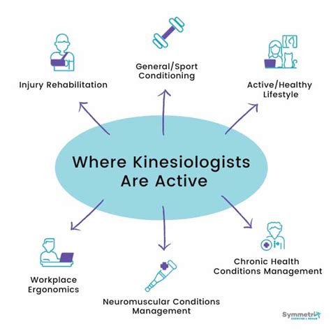 What Are The Primary Application Areas Of Biomechanics In Kinesiology