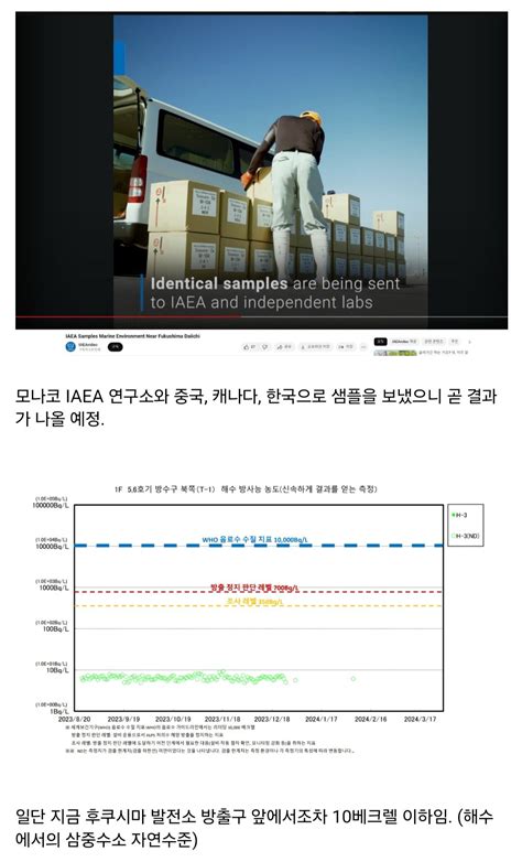 오염수 방류 6개월 뒤 한국 근해 방사능 근황 정치시사 에펨코리아