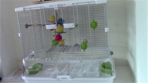 Hagen Vision Medium Bird Cage M01 Youtube