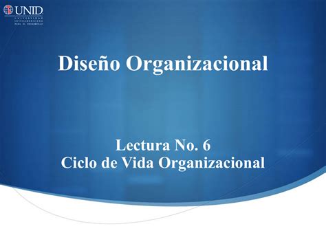 Ciclo De Vida Organizacional