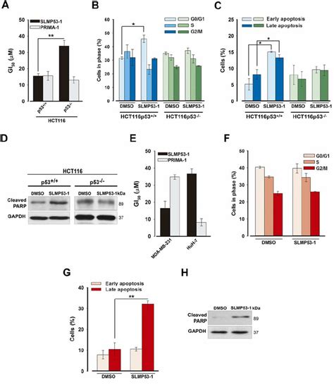 SLMP53 1 Growth Inhibitory Effect In Human Wt P53 And Mut