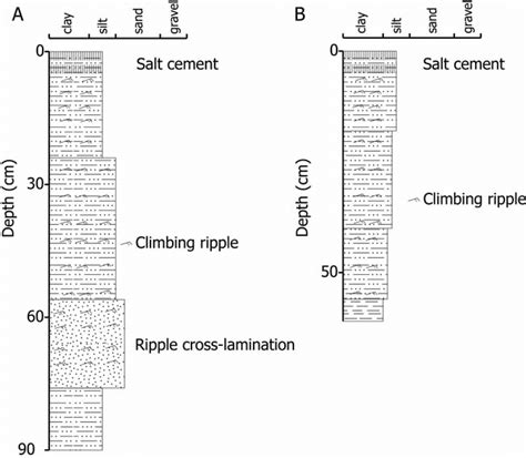 Representative Sedimentary Logs Of The Lower Coastal Plain Deposits A