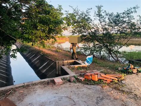 Homem é preso e fazenda multada em R 1 milhão por crime ambiental em