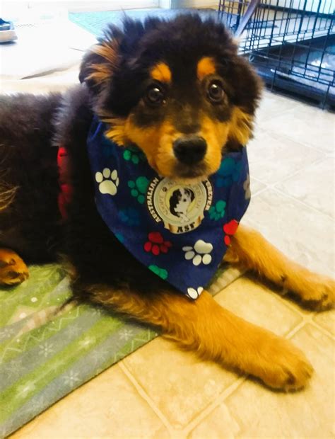 Late Night Mystery: Woman Discovers Heart-Stopping Surprise under Her Car