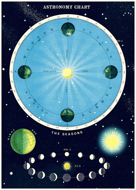 Cavallini Poster Gift Wrap Astronomy Chart Evans And Hall