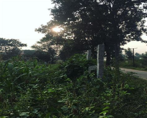 Agricultural Land Guntha For Sale In Doddabidarakallu Bangalore