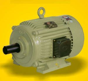 XLO Electricals Corporation Jalandhar Three Phase Induction Motor