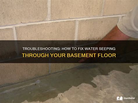 Troubleshooting How To Fix Water Seeping Through Your Basement Floor Shunshelter