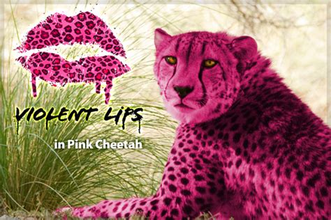 What Do Pink Cheetahs Have In Common With Kisses Violent Lips